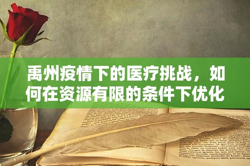 禹州疫情下的医疗挑战，如何在资源有限的条件下优化内科治疗策略？