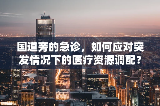 国道旁的急诊，如何应对突发情况下的医疗资源调配？