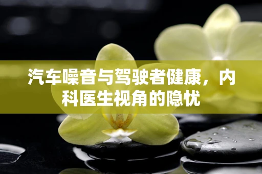 汽车噪音与驾驶者健康，内科医生视角的隐忧