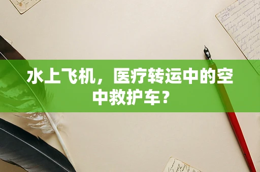 水上飞机，医疗转运中的空中救护车？