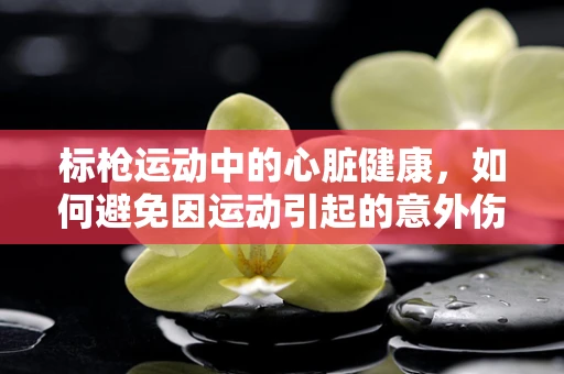 标枪运动中的心脏健康，如何避免因运动引起的意外伤害？