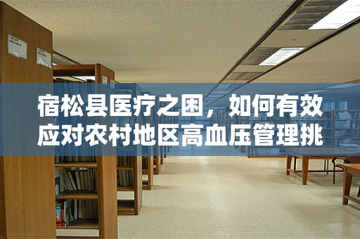 宿松县医疗之困，如何有效应对农村地区高血压管理挑战？
