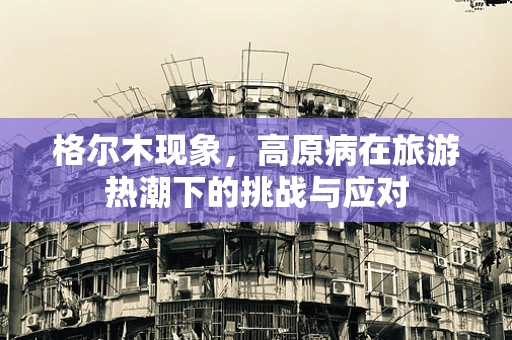 格尔木现象，高原病在旅游热潮下的挑战与应对