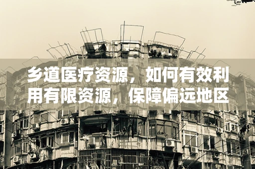 乡道医疗资源，如何有效利用有限资源，保障偏远地区医疗服务？