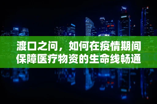 渡口之问，如何在疫情期间保障医疗物资的生命线畅通？