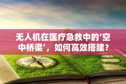 无人机在医疗急救中的‘空中桥梁’，如何高效搭建？