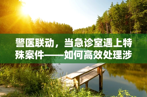 警医联动，当急诊室遇上特殊案件——如何高效处理涉警人员健康危机？