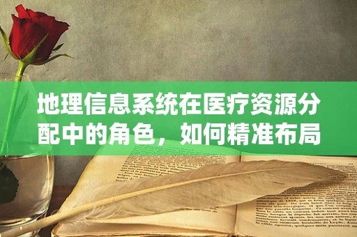 地理信息系统在医疗资源分配中的角色，如何精准布局？