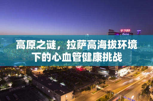 高原之谜，拉萨高海拔环境下的心血管健康挑战
