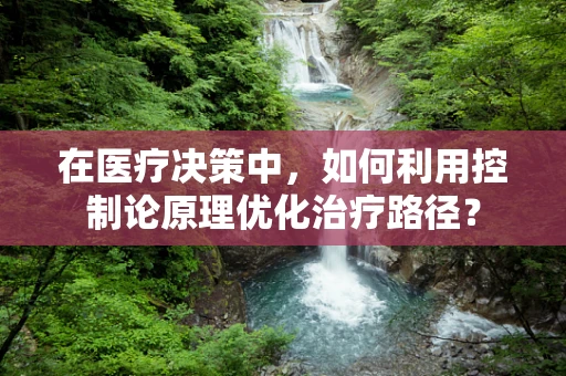 在医疗决策中，如何利用控制论原理优化治疗路径？