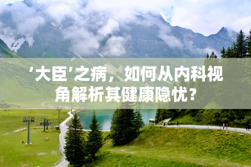 ‘大臣’之病，如何从内科视角解析其健康隐忧？