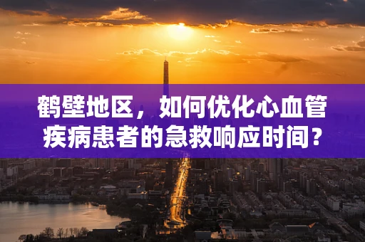 鹤壁地区，如何优化心血管疾病患者的急救响应时间？