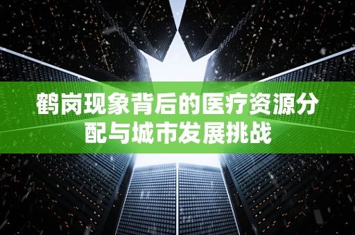 鹤岗现象背后的医疗资源分配与城市发展挑战