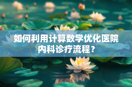 如何利用计算数学优化医院内科诊疗流程？