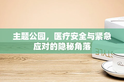 主题公园，医疗安全与紧急应对的隐秘角落