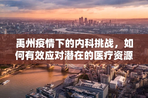 禹州疫情下的内科挑战，如何有效应对潜在的医疗资源紧张？