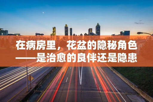 在病房里，花盆的隐秘角色——是治愈的良伴还是隐患的源头？