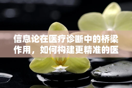 信息论在医疗诊断中的桥梁作用，如何构建更精准的医疗决策模型？