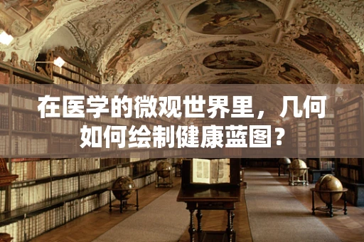在医学的微观世界里，几何如何绘制健康蓝图？