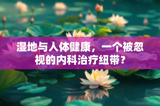 湿地与人体健康，一个被忽视的内科治疗纽带？