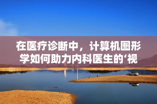 在医疗诊断中，计算机图形学如何助力内科医生的‘视觉’洞察？