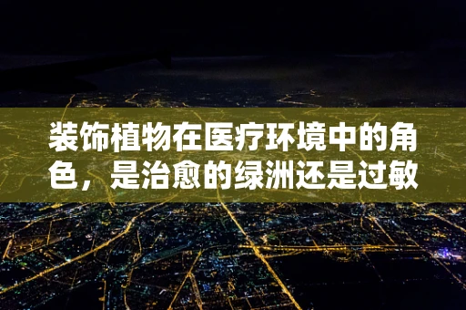 装饰植物在医疗环境中的角色，是治愈的绿洲还是过敏的隐患？