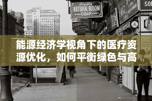 能源经济学视角下的医疗资源优化，如何平衡绿色与高效？
