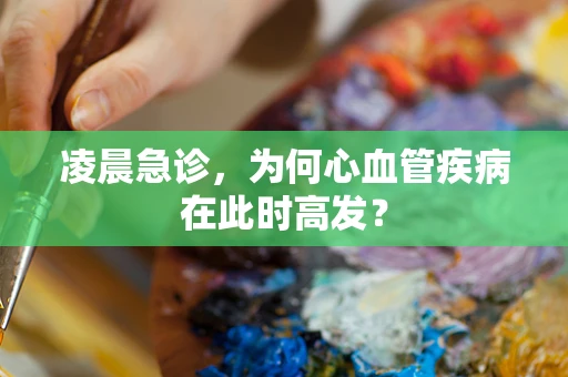 凌晨急诊，为何心血管疾病在此时高发？