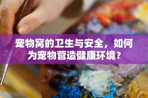 宠物窝的卫生与安全，如何为宠物营造健康环境？