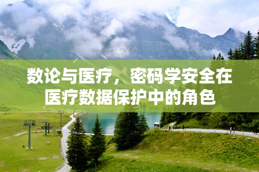 数论与医疗，密码学安全在医疗数据保护中的角色