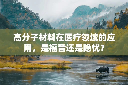 高分子材料在医疗领域的应用，是福音还是隐忧？