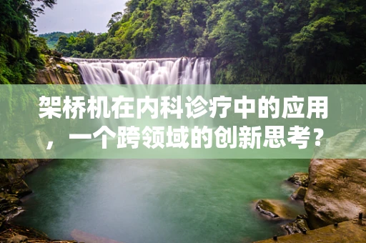 架桥机在内科诊疗中的应用，一个跨领域的创新思考？