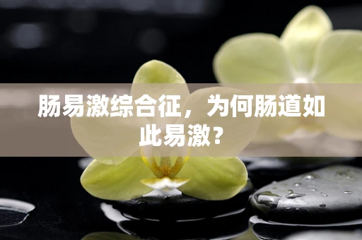 肠易激综合征，为何肠道如此易激？