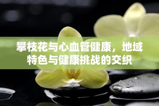 攀枝花与心血管健康，地域特色与健康挑战的交织