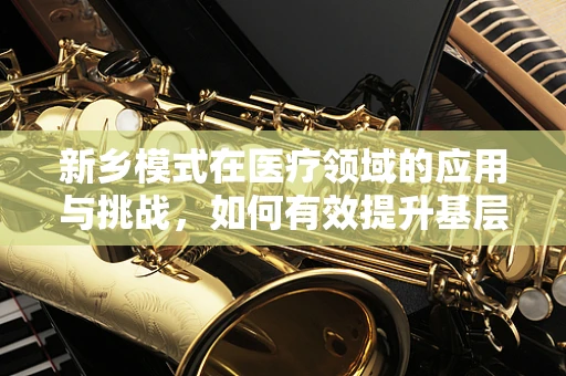 新乡模式在医疗领域的应用与挑战，如何有效提升基层医疗服务质量？