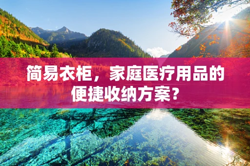 简易衣柜，家庭医疗用品的便捷收纳方案？