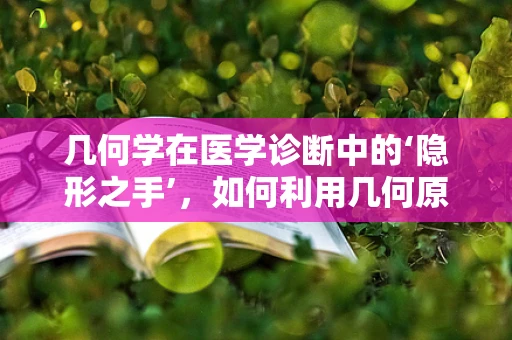 几何学在医学诊断中的‘隐形之手’，如何利用几何原理精准定位？