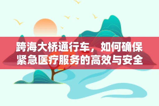 跨海大桥通行车，如何确保紧急医疗服务的高效与安全？