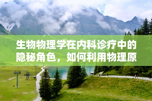 生物物理学在内科诊疗中的隐秘角色，如何利用物理原理提升诊断精准度？