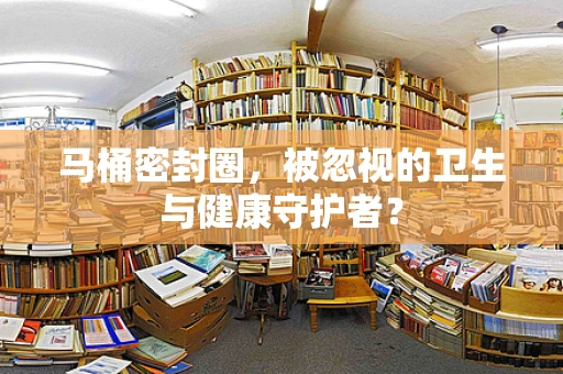 马桶密封圈，被忽视的卫生与健康守护者？