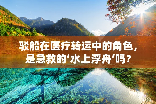 驳船在医疗转运中的角色，是急救的‘水上浮舟’吗？