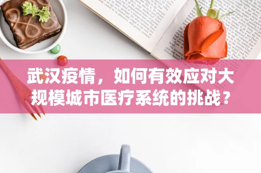 武汉疫情，如何有效应对大规模城市医疗系统的挑战？