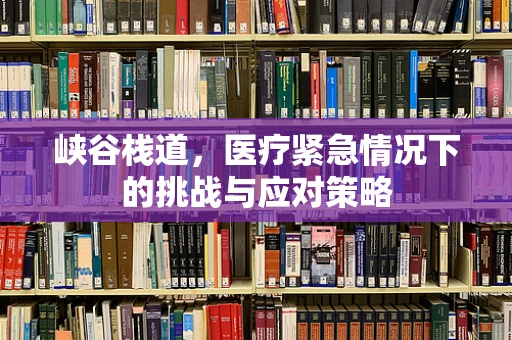 峡谷栈道，医疗紧急情况下的挑战与应对策略