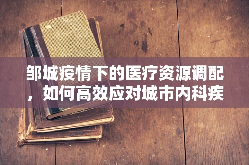 邹城疫情下的医疗资源调配，如何高效应对城市内科疾病紧急需求？