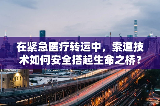 在紧急医疗转运中，索道技术如何安全搭起生命之桥？
