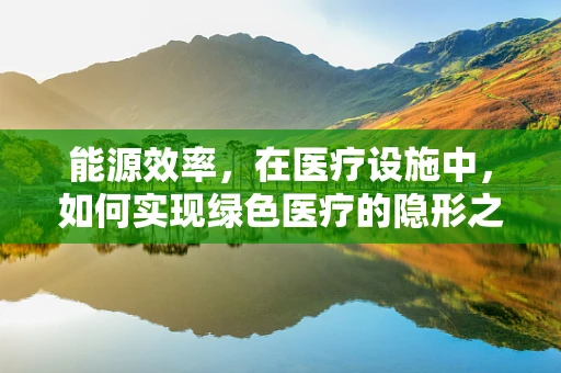 能源效率，在医疗设施中，如何实现绿色医疗的隐形之手？