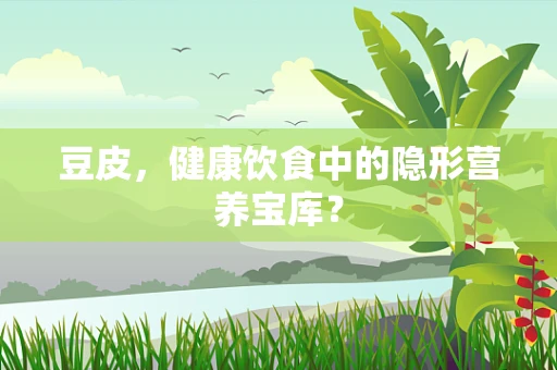 豆皮，健康饮食中的隐形营养宝库？