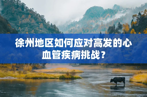 徐州地区如何应对高发的心血管疾病挑战？