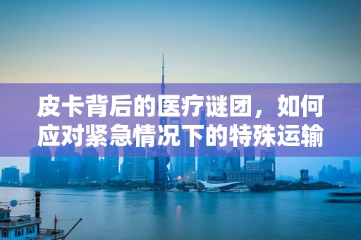 皮卡背后的医疗谜团，如何应对紧急情况下的特殊运输挑战？