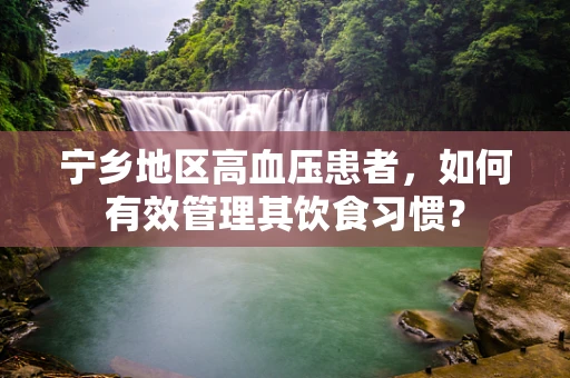 宁乡地区高血压患者，如何有效管理其饮食习惯？